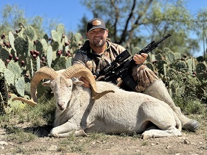 Dall sheep hunting in Texas